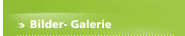 Bilder- Galerie